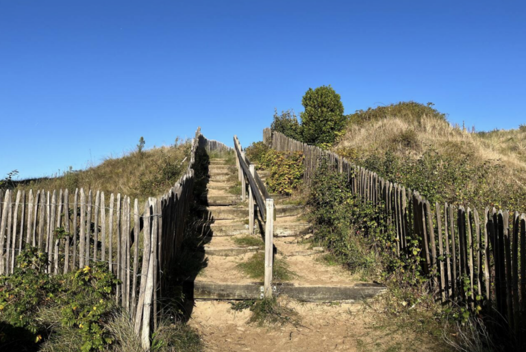 Capture d’écran 2026-02-03 à 20.13.29